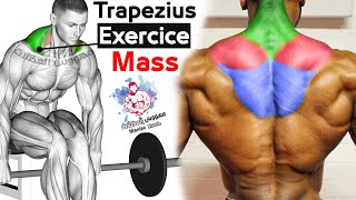 How To Build Your Trapezius Fast 8 Effective Exercisesتمارين ترابيس [upl. by Yelkreb]