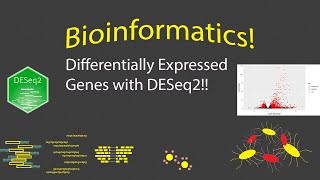 Bioinformatics  Finding Differentially Expressed Genes with DESeq2 [upl. by Otina480]