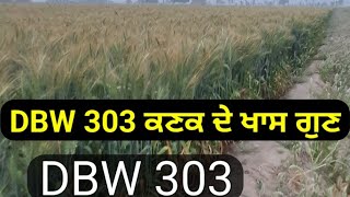 DBW 303 करण वैष्णवी [upl. by Vilberg361]