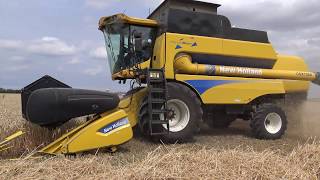 TARWE OOGSTEN 2018 NEW HOLLAND CSX 7080 HARVE STAR [upl. by Zendah]