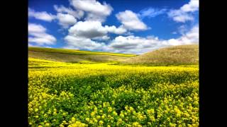 Emerald Hills and Sapphire Skies  Original PowerFolk Metal [upl. by Brownley]