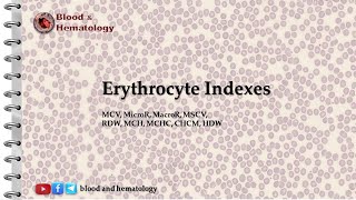 Erythrocyte indexes [upl. by Dola]