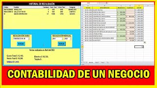 Cómo Llevar la Contabilidad de un Negocio Pequeño con Excel  Guía Completa de Software [upl. by Atirabrab140]