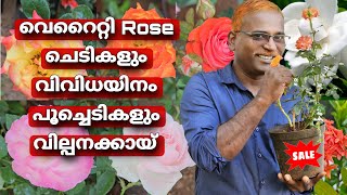 വിവിധയിനം Flowering ചെടികളും വെറൈറ്റി Rose ചെടികളും evergreenmediavlog [upl. by Blader651]