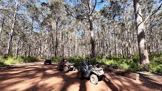 Explore Boranup Forest On Electric Quad Bikes [upl. by Gambell]