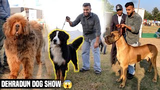 Biggest Dog Show in Uttarakhand  Dehradun Dog Show 2023😱 [upl. by Franklin]