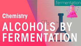 Making Alcohols By Fermentation amp From Ethane  Organic Chemistry  Chemistry  FuseSchool [upl. by Takara]