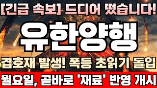 유한양행 주가전망 긴급 미노출자회사 ‘이뮨온시아’ 12월 코스닥 상장 가능성 얼마나 되나 IPO 소식 들려오면 19만원까지 다이렉트로 쏜다 물량 절대 사수 [upl. by Llabmik]