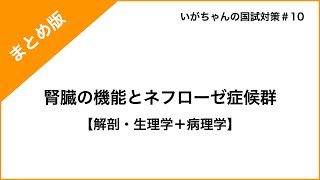 腎臓の機能とネフローゼ症候群【まとめ版】 [upl. by Osgood849]