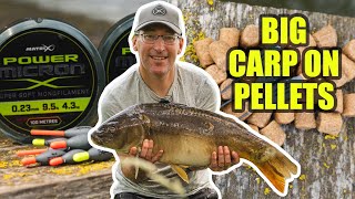 BIG FISH ON HARD PELLETS AT MEADOWLANDS FISHERY Shallow amp Margin Fishing with JON ARTHUR [upl. by Nolitta102]