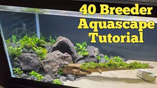 How to Aquascape a 40 Breeder  Epiphyte Aquascape [upl. by Erelia]