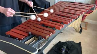 Great Fairy Fountain Legend of Zelda Arranged for Marimba with sheet music [upl. by Suivatnod]