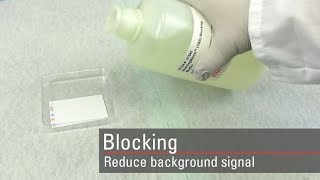 Block the Western blot membrane to reduce signal background [upl. by Nevla521]