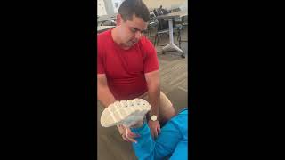 Hip Joint amp Pelvic Girdle  Individual Palpation Video 5 Hector Cardenas [upl. by Sifan]