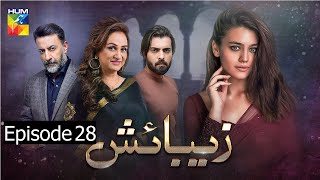 Zebaish  Episode 28  Hum TV [upl. by Hally873]