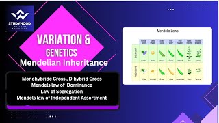 Variation and Genetics  Mendelian Inheritance  Monohybrid amp Dihybrid Cross  Mendels Laws [upl. by Yelroc730]