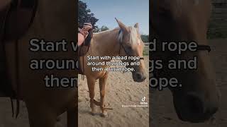 pause to read about hobbling horses horsemanship traininghorses aqha cowboy bridlehorse [upl. by Ahsenat741]