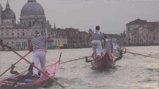 Regata Storica Venezia 2016  Video Ufficiale [upl. by Eanad270]