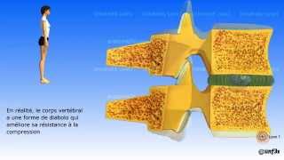 Le vieillissement de la colonne vertébrale [upl. by Ynaffad]