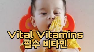 Vital Vitamins 필수 비타민 [upl. by Naihs406]