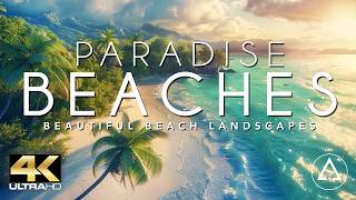 PARADISE BEACHES IN 4K DRONE FOOTAGE ULTRA HD  Beautiful Beach Landscapes Footage UHD [upl. by Fia]