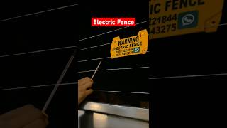 Electric fance testing remix viralvideo shortsfeed short youtubeshorts shorts viralreels [upl. by Eidnac]