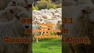 🐑🌲🌳கர்த்தர் என் மேய்ப்பராய் இருக்கிறார்  சங்கீதம் 23 TAMIL BIBLE TAMIL CHRISTIAN SHORTS tpm [upl. by Yenffad109]