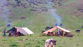 Most Peaceful Relaxing Himalayan Village Lifestyle  Organic shepherd Food  Real Nepali Life [upl. by Py]