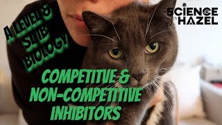 Competitive amp NonCompetitive Enzyme Inhibitors  A Level amp SL IB Biology [upl. by Garrott204]