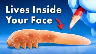 Everything You Didnt Know About Organisms Living Inside You [upl. by Daven70]