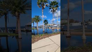 Sanford Veterans Memorial Park Flooded by Lake Monroe Week After Hurricane Milton amp Limpkin [upl. by Augie]