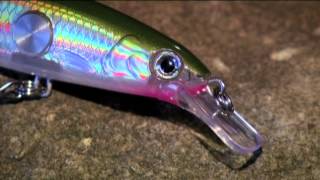 Clackin Minnow [upl. by Teddman]