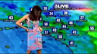 Meteorologist green screen fail during weather report [upl. by Shiverick]