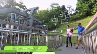 Experience Skyline Luge Singapore [upl. by Willumsen589]