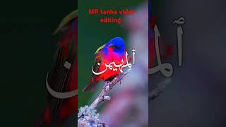 Asmai HasanaMR tanha video editing asmaihasana islam [upl. by Norrahc]