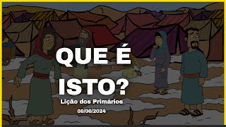 Lição dos Primários  Que é isto  08062024 [upl. by Kalb]