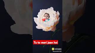 Quet sa mera pyara saa hm sb ki jaan hai bhatijaviralvideo youtubsubscribesharemychannel 🥰🥰🥰🥰🥰🥰 [upl. by Hussein]