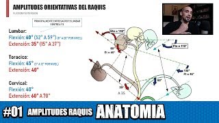 Cuales son las amplitudes globales del raquis GRADOS Y EXPLICACION [upl. by Naawaj]