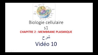 biologie cellulaire s1 vidéo 010  la membrane plasmique شرح [upl. by Haney]