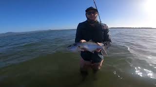 Raw Footage Flathead Fishing in the lake ILLAWARRA [upl. by Ynnub145]