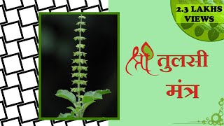 Tulsi MantraMahaprasad Janani  तुलसी मंत्र जल देते समय बोले मंत्र [upl. by Huntingdon]