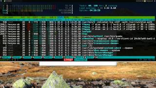 Htop  Task Manager  Linux TUI [upl. by Fredrika]