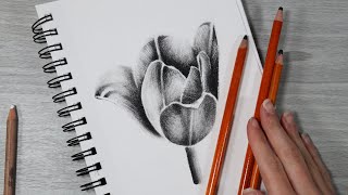 HOW I USE CHARCOAL PENCILS FOR BEGINNERS  Flower Demo [upl. by Adigun]