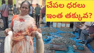 రాంనగర్ చేపల మార్కెట్  ramnagar fish market  Hyderabad [upl. by Osnola]