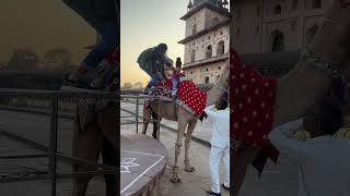 Darshika ko mamma ne camel 🐫 par nahi baithaya 🔥🔥🔥shorts ytviral ytshorts youtube [upl. by Ashia753]