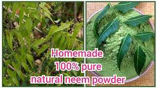 DIY Neem Powder StepbyStep Guide for Making Pure Neem Powder at Home [upl. by Nimra]