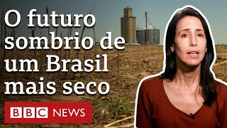 Como destruição do ambiente ameaça agricultura e expõe Brasil a clima extremo [upl. by Sucramraj]