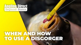 When And How To Use A Disgorger – Coarse Fishing Beginner Basic [upl. by Dippold869]