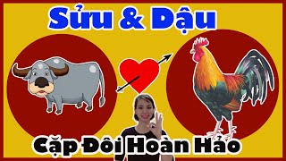 💓 Tuổi Sửu và Tuổi Dậu Có Hợp Tuổi Kết Hôn Với Nhau Không [upl. by Skolnik]