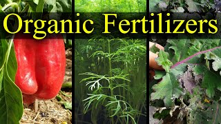 Organic Fertilizers  My Top 5 Choices For 2021 [upl. by Yesnil]